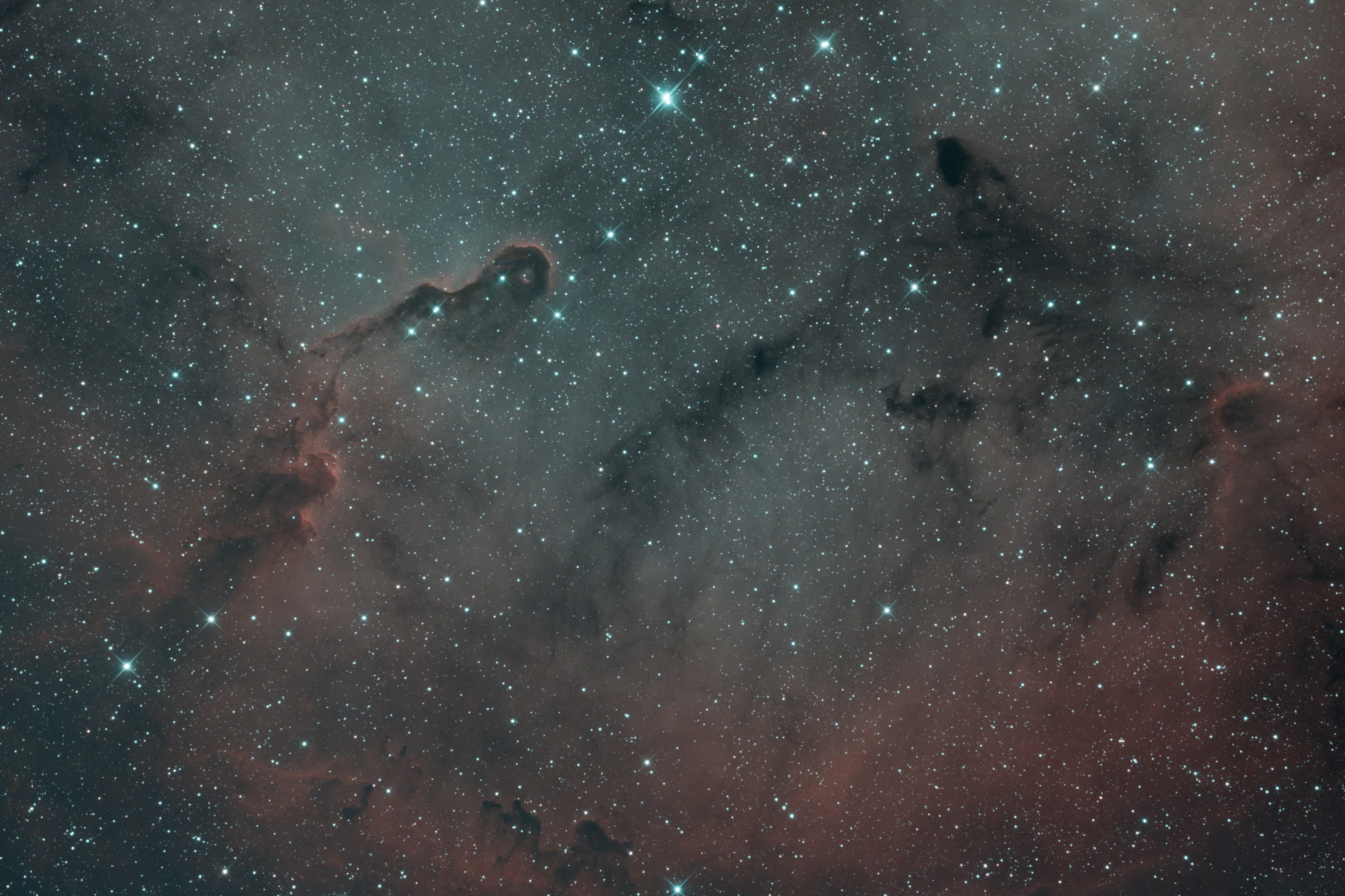 IC 1396, Nébuleuse de la Trompe d'Éléphant, image linéaire