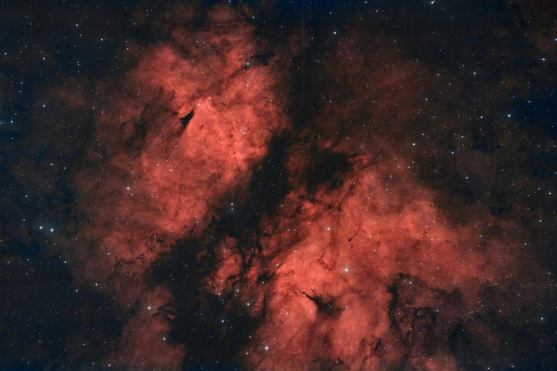 IC 1318 — Butterfly Nebula (Gamma Cygni)