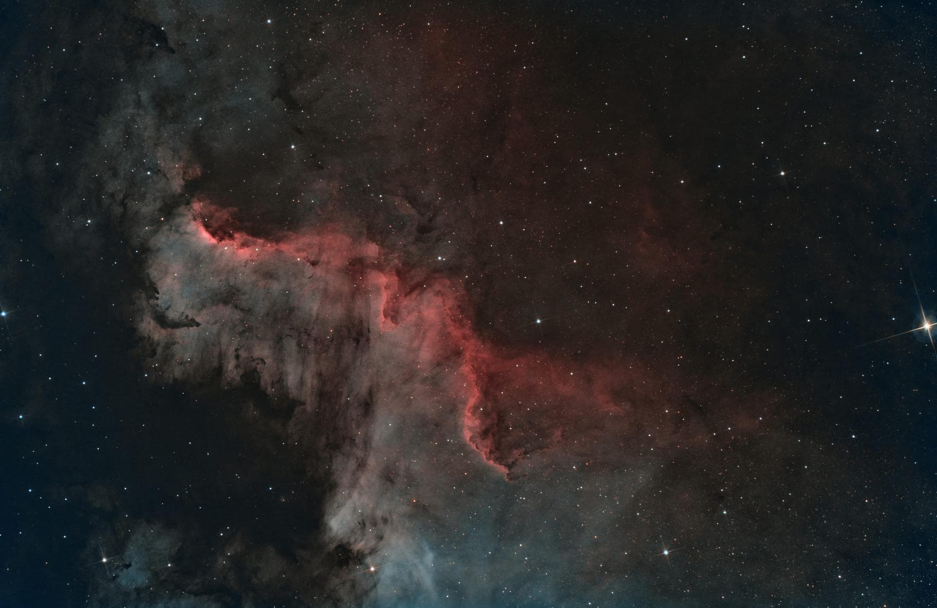 NGC 7000 — North America Nebula / Swan Wall