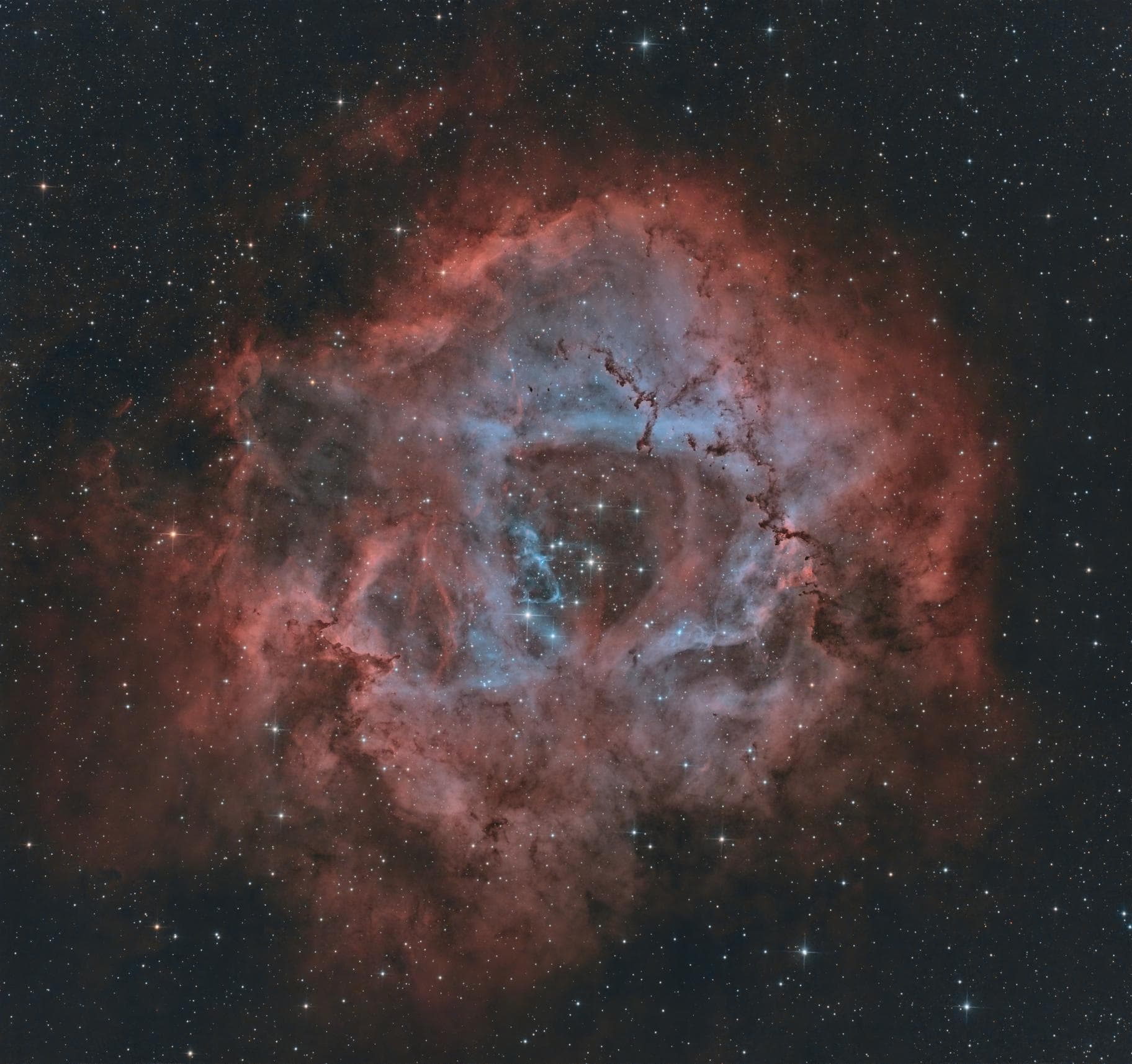 NGC 2237 - Nébuleuse de la Rosette