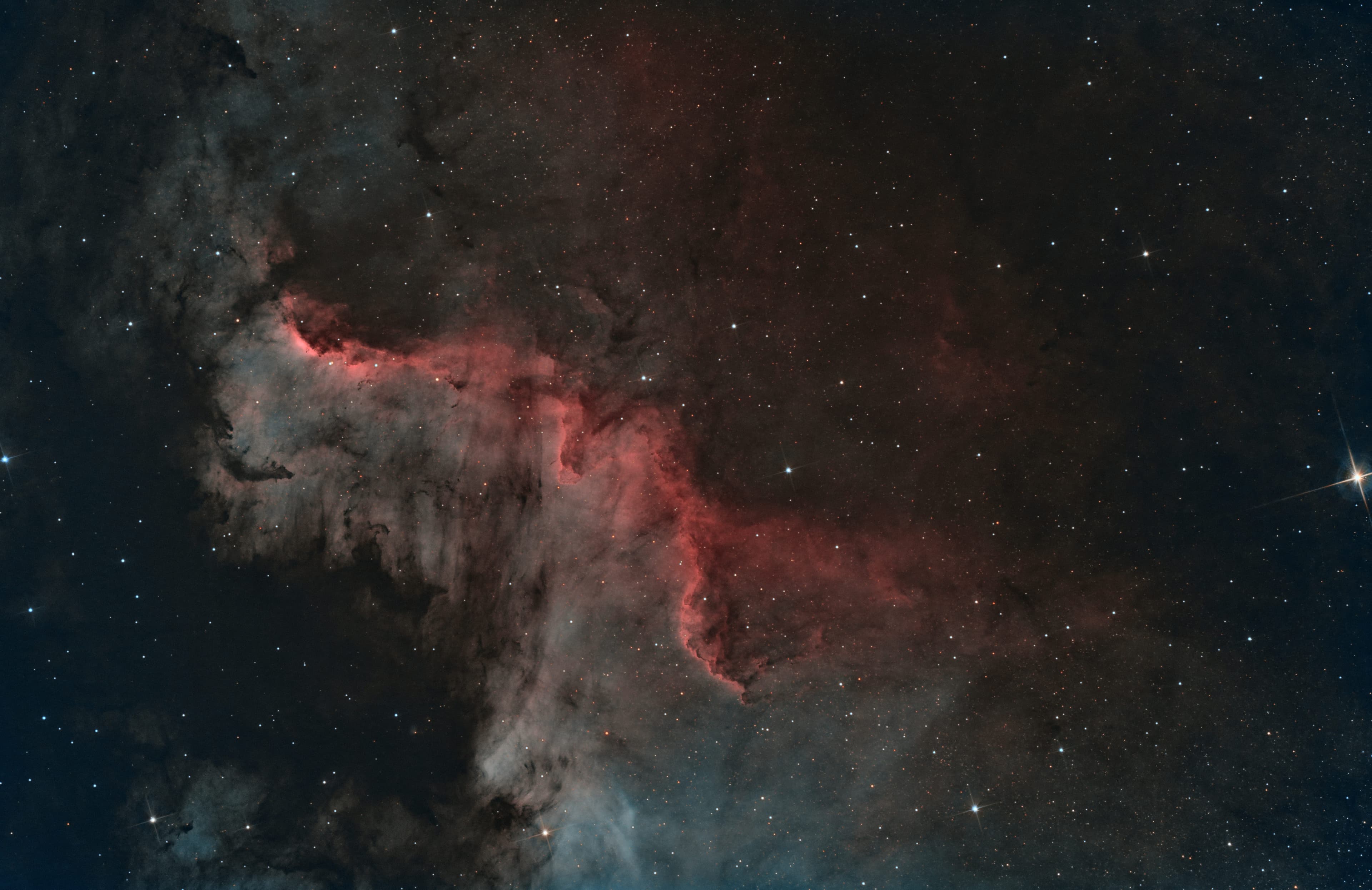 NGC 7000, Nébuleuse North America