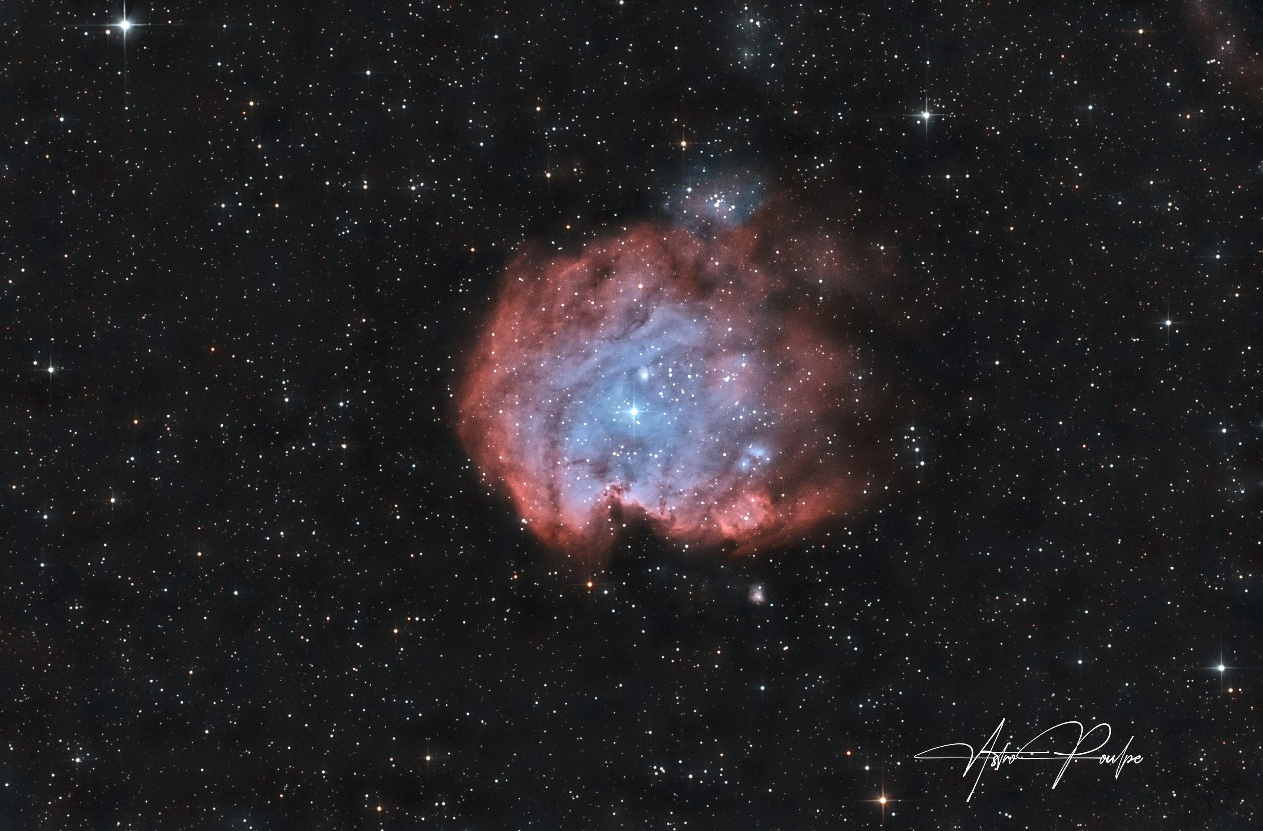 NGC 2175, Monkey Head Nebula — image taken with ZWO ASI2600MC Pro