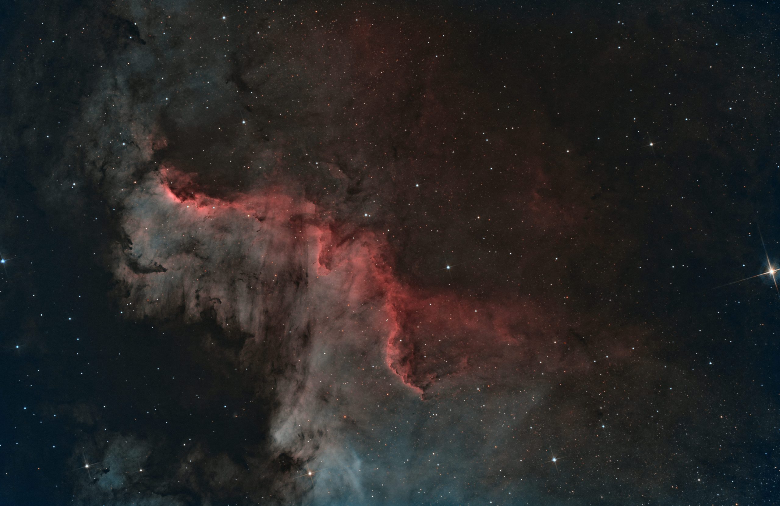 NGC 7000, Nébuleuse North America — image réalisée avec ZWO ASI2600MC Pro